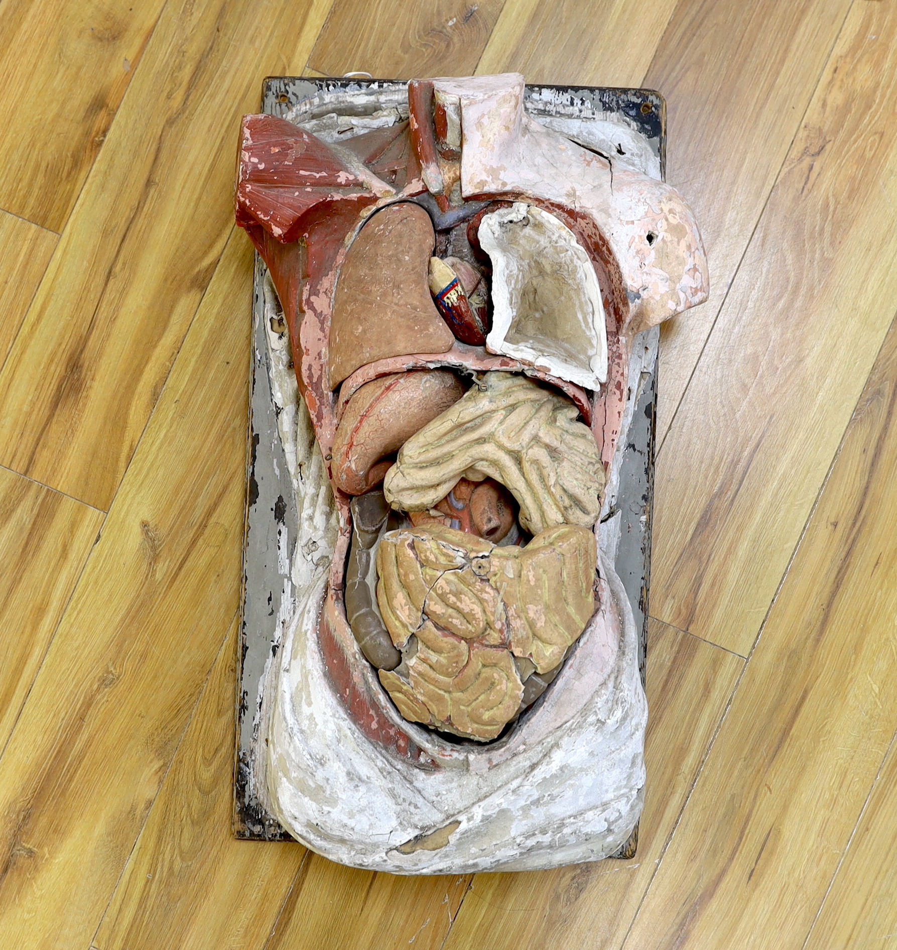 A 19th century papier mache hand-painted anatomical model of the human torso, 74cm high